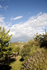 Tuscany, Italy