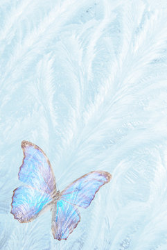 butterfly for freezing glass © danilag