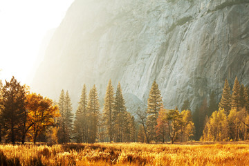 Autumn in Yosemite - obrazy, fototapety, plakaty