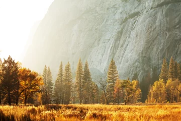 Foto auf Glas Autumn in Yosemite © Galyna Andrushko