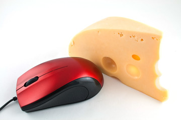Computer mouse also loves cheese