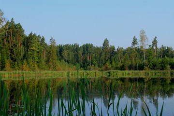Fototapeta na wymiar Nature Summer Lake