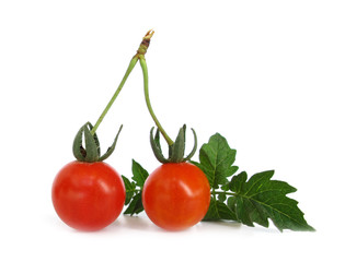 Cherry tomato with green leaves