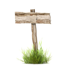 Naklejka premium empty placard on grass