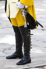 Royal Guardsman during the re-enactment of the War of Succession
