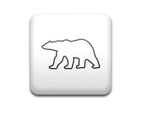 Boton cuadrado blanco oso polar