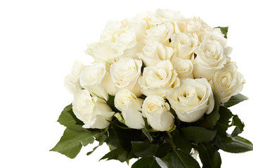 Cream roses