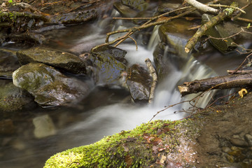 Bachlauf Nationalpark Kellerwald Hessen Deutschland