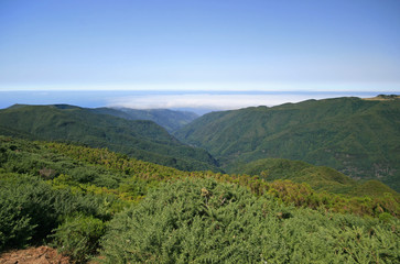 Madeira