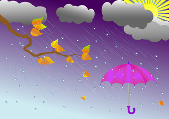 umbrella in the rain. vector illustration.