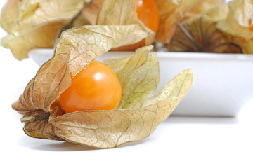 physalis