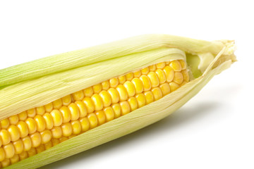 Fresh corn vegetable