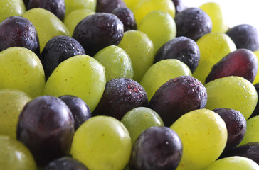 Fresh grapes with drops