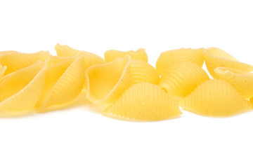 The long pile of conchiggle rigate.