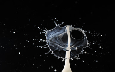 Fototapeta na wymiar Milk Splash 2