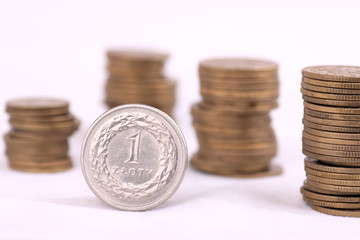 Polish currency