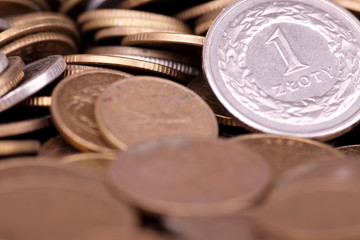 Polish currency
