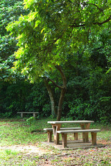 picnic place