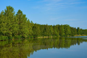 Fototapeta na wymiar Odbicie drzew w jeziorze w Vaasa, Finlandia