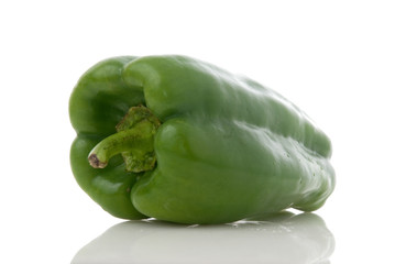 Green pepper