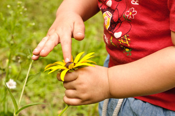 magic touch