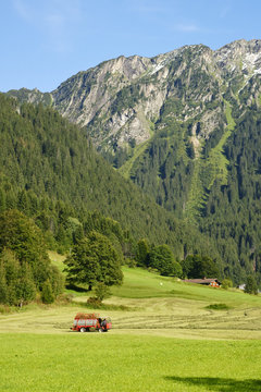 Heuernte