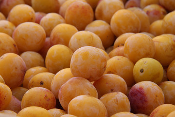 Mirabelles