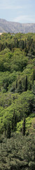 Fototapeta na wymiar Subtropikalny trzy ogród na górskich wzgórza. Panorama.