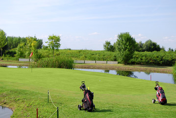 golf field with two golf bag
