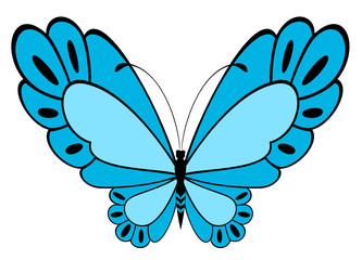 The beautiful butterfly