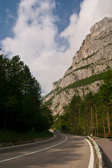 beautiful country road