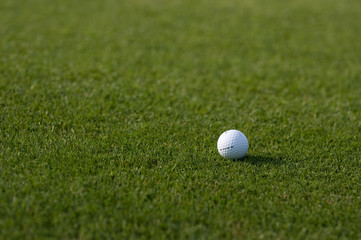 golf ball on golf course