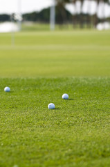 Golf balls on golf course
