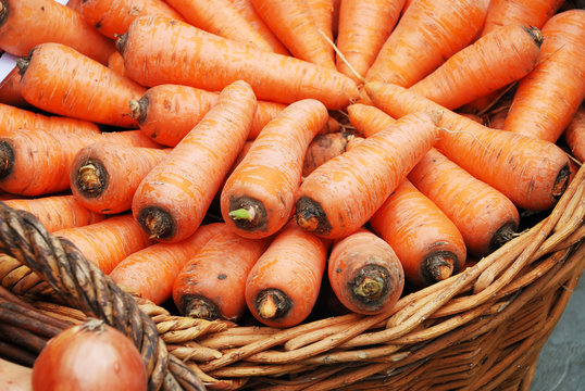 Carrots crop in a basket