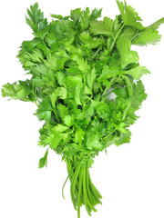 celery vegetable herbal spice