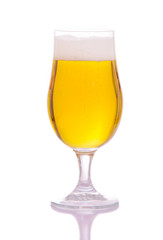 glass of beer on a white background