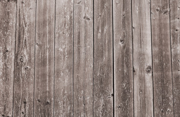 Obraz premium Wooden board.