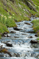 Fototapeta premium River on Swiss Alps