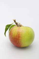 Fresh apple studio isolated  on white