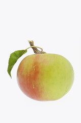 Fresh apple isolated on white. Clipping path included.