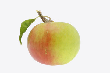 A fresh apple isolated on white. Clipping path included.