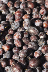 quetsches pour eau de vie schnapps