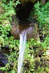 Source de montagne
