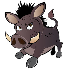wildschwein cartoon lustig schwein comic