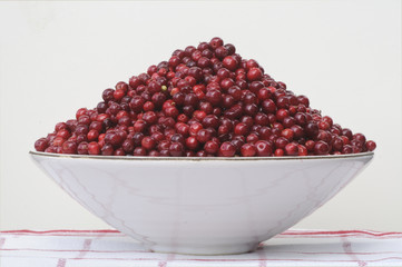 A bowl of fresh lingonberries on white background