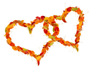 Two hearts of the autumn leaves