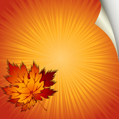 Autumn background
