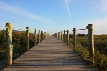 Obraz premium path to the beach