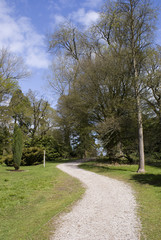 Path through the woodland