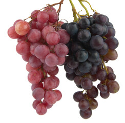 grape fruit